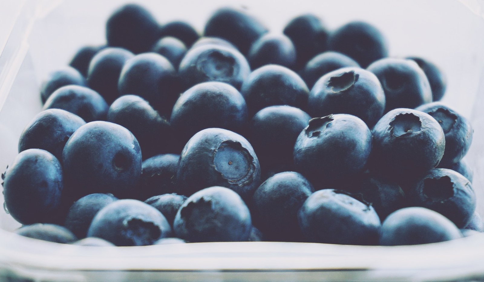 Bluberries for Lungs Health